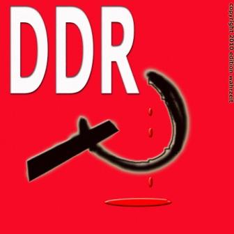 WAHRZEIT YOUTUBE KANAL